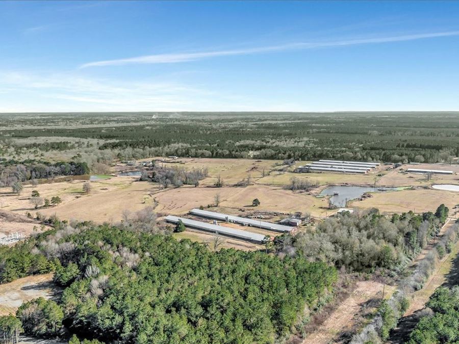 Breeder Farm In Marshall