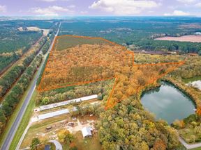 US Rt. 13 & Allen Road - 65.073 AR Land