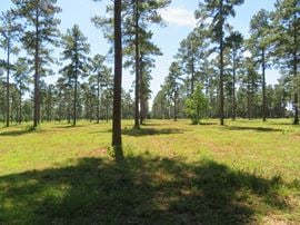 2 LOTS ADJACENT TO THE GOLF CLUB OF QUINCY