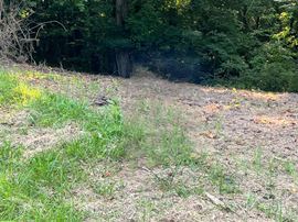 Jarrell Ridge Rd