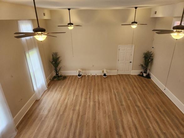 The Mind Body Collective - 627 Opelousas Avenue