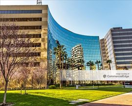 The Almaden