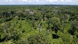 20 +/- Acres in Horse Country