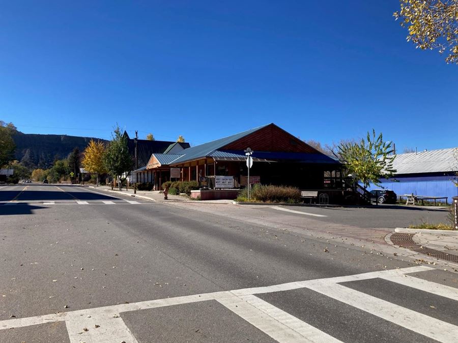 Versatile Mixed-Use Development in Ridgway, CO