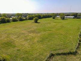 Primrose Land