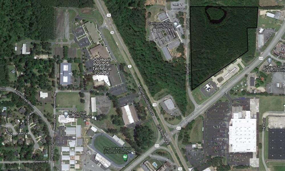 US HWY 319 & Hall Road - 17.7 (+/-) AC