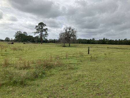 Photo of commercial space at 20241 Maxville-Macclenny Road in Jacksonville