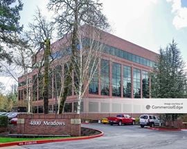 Kruse Woods Corporate Park - 4800 Meadows