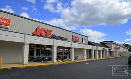 Retail space for Rent at 300 Knox Abbott Drive in Cayce