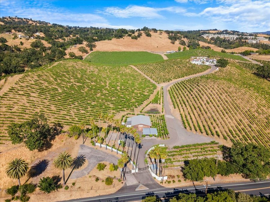 Knoll-Top Vineyard Estate with Tasting Room