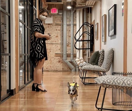 Homestead - Coworking Space