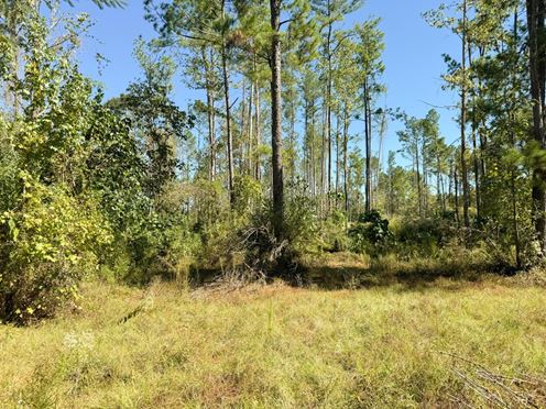 Land for Development | 7210 Hwy 49 North