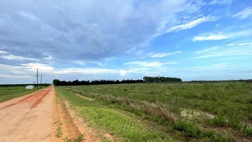 Lake Bella Road Transitional Land