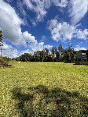 4.7 AC, Multi-Use Development Site, Directly on Van Dyke Rd, Lutz