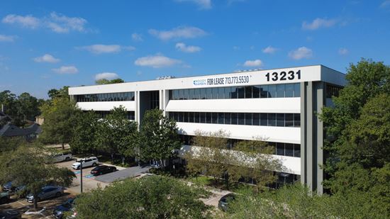 13231 Champion Forest