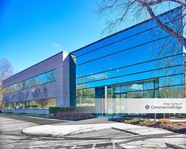 The Microsoft Building