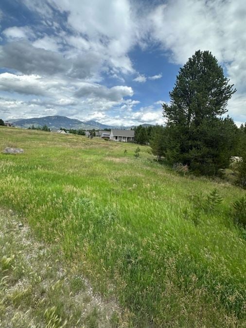 TBD Moose Dr