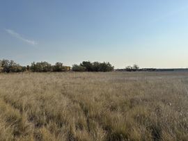 10± Development Acres Off Billings Arterial Road
