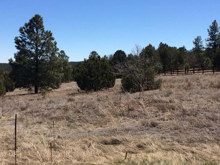 VacantLand space for Sale at 10 Woodland Ct in Tijeras