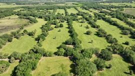 Palm Hammock Preserve