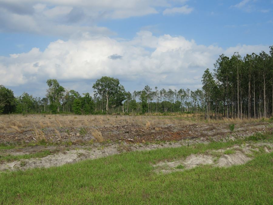 Chunky Pond Getaway Tract