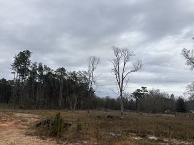 HWY 445