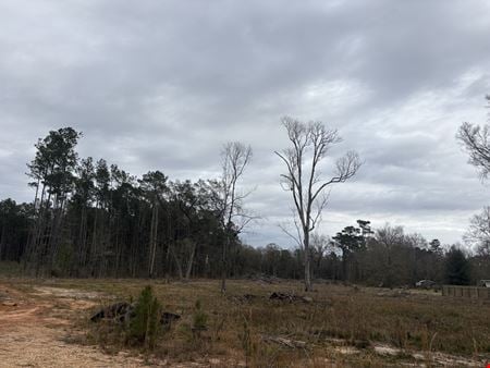 VacantLand space for Sale at HWY 445 in Ponchatoula