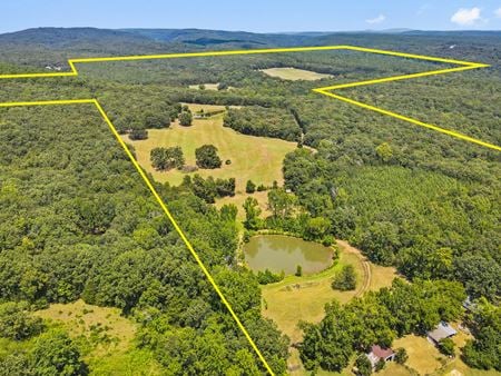 VacantLand space for Sale at 12140 County Line Rd in Mulberry