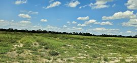 Mammoth Grove Road Lot 3