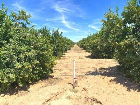 VacantLand space for Sale at Citrus Property - County 19th Street and Avenue A in Yuma