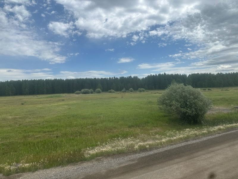 TBD Moose Dr