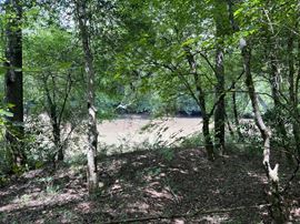402 Rocky Plains Road - 31.84 Acres (Yellow River Tract 5)