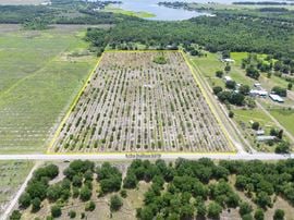 West Lake Buffum Acreage