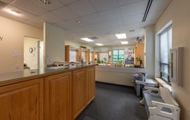 Willow Creek Professional Center