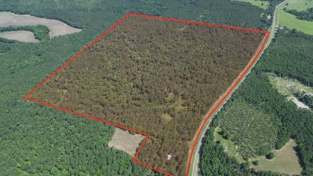 VacantLand space for Sale at 269 Cotton Hill Road in Fort Gaines