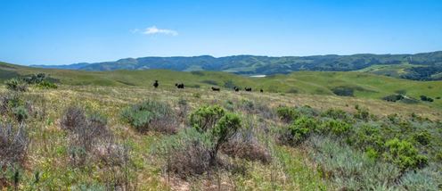 Santa Rita Ranch