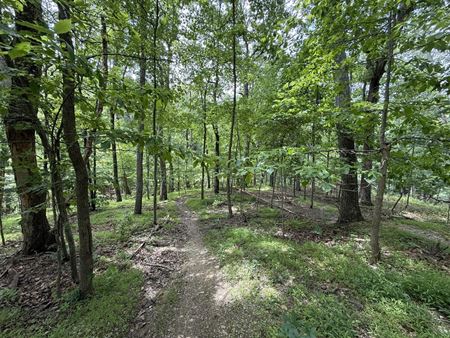 VacantLand space for Sale at Mad Hatter Road in Shannondale