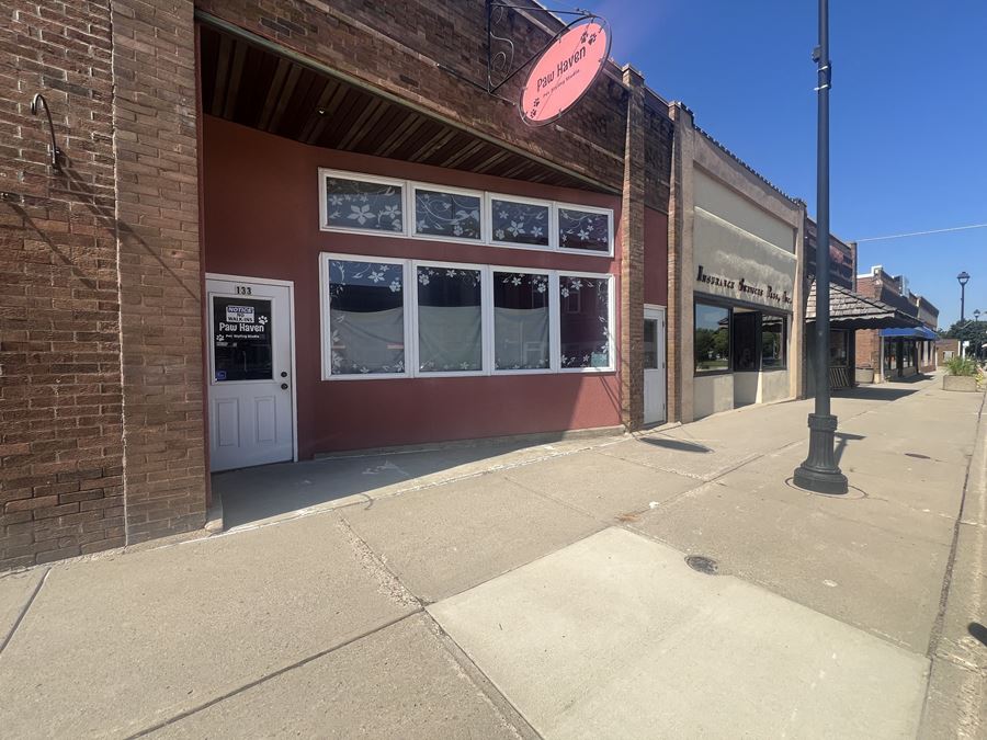 133 S Main Street in Lake Crystal