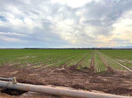 74.7 Water Acres, Corner of S Avenue 29 E and County 7 1/2 ST S