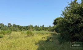 ±46.96-Acre Recreational & Residential Tract | Monetta, SC