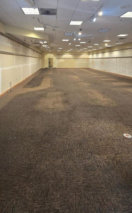 406      Space Photo Gallery 3