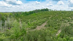 Buck Creek Hunting Property