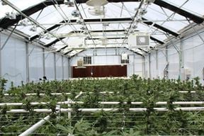 State-of-the-Art Cannabis Grow Facility