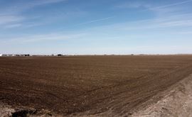 County Road 132