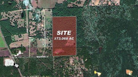VacantLand space for Sale at 10771 County Road 351 in Plantersville