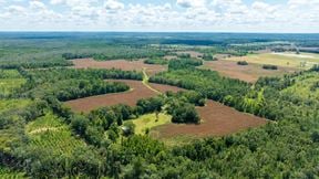 Panhandle Farm and Timberland