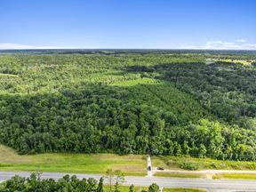 Withlacoochee River Timber and Hunting