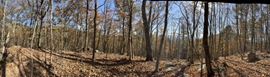 Parcel 053 050.00 Obes Branch Rd