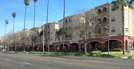 Alight on University