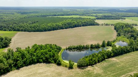 VacantLand space for Sale at Sunbury Rd in Claxton